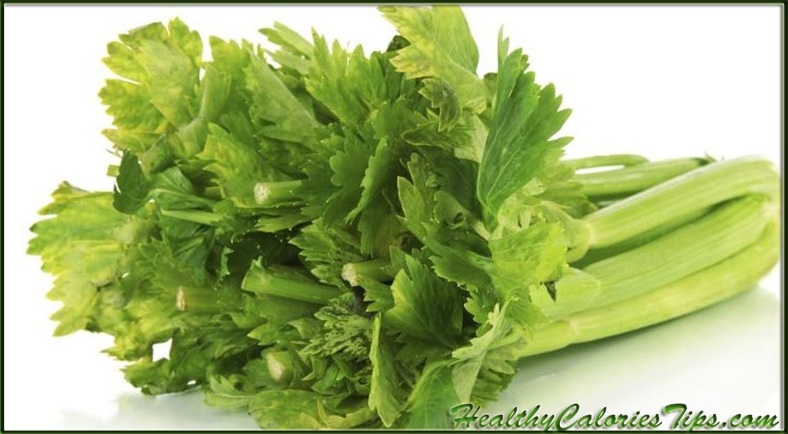 NEW DISCOVERIES HOW MANY CALORIES IN CELERY